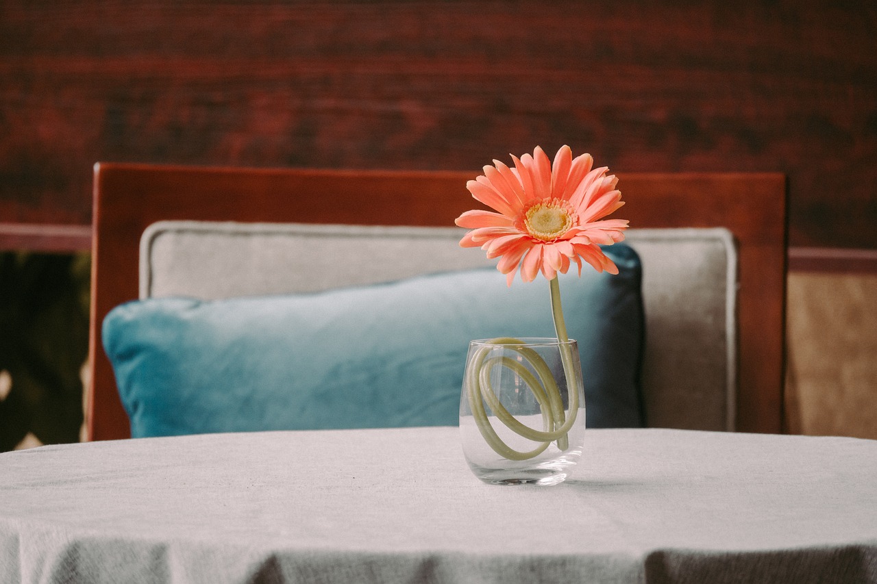 Transform Your Living Space with These Must-Have Home Decor Products Transform Your Living Space with These Must-Have Home Decor Products